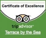 Trip Advisor Certificate Of Excellence